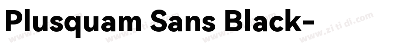Plusquam Sans Black字体转换